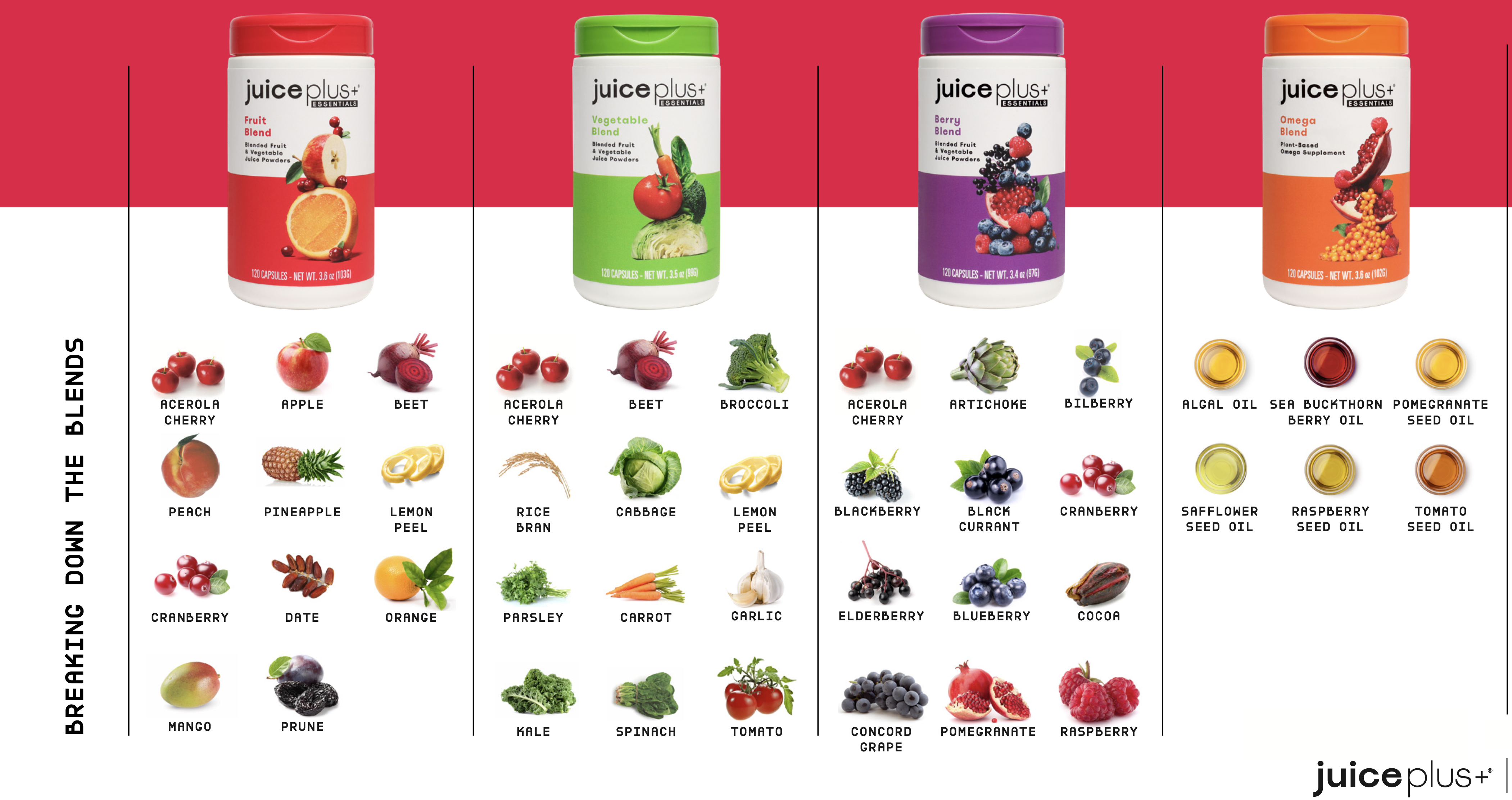 Fruit, Vegetable, Berry & Omega+ Blend | Juice Plus+